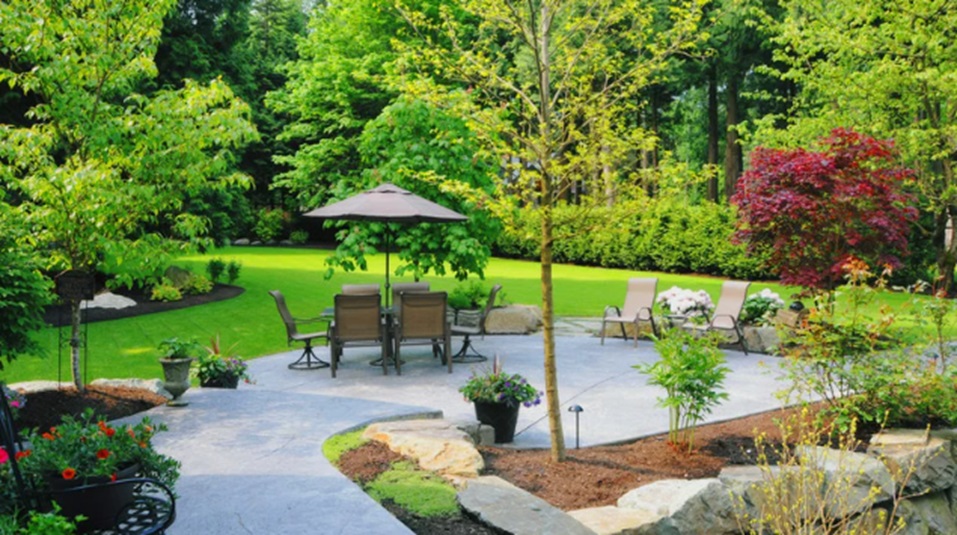 Minimalist Landscaping Designs for a Blank and Fresh Glance