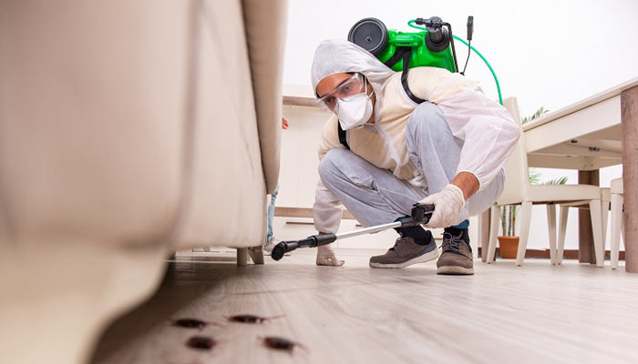 Issues to Take a look at When Evaluating Pest Regulate Services and products in Maryland!